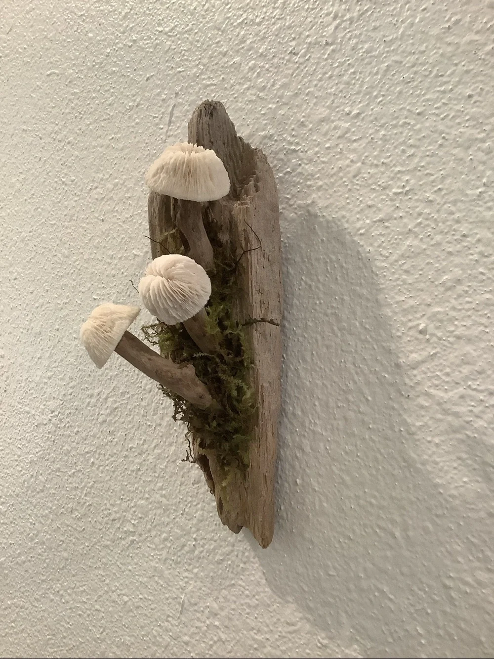 Driftwood Art, Driftwood and Coral Mushrooms, Mushroom Art, Coastal Art